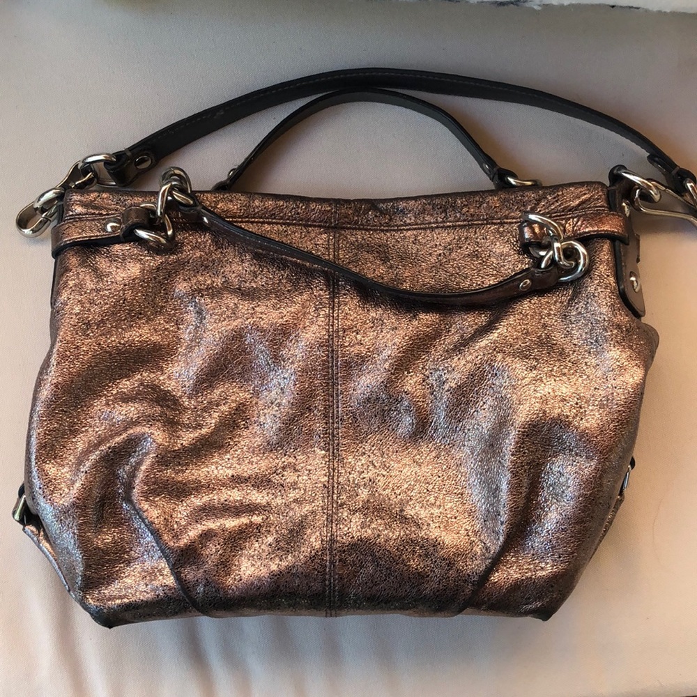 Metallic Coach Purse
